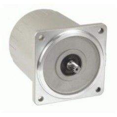 PeeiMoger 轉矩感應馬達系列