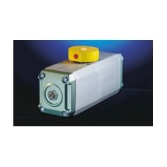 德國ROTADISK執行器