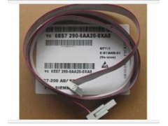 西門子電纜 6ES7290-6AA20-0xA0