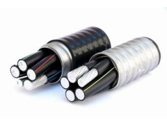 上善星 鋁合金電纜 只做精品 YJLH62-ACWU90生產