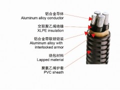 上善星 鋁合金電纜 只做精品 YJLH62-ACWU90批發