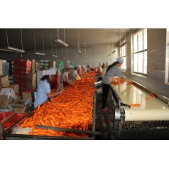 現貨供應皮帶輸送機