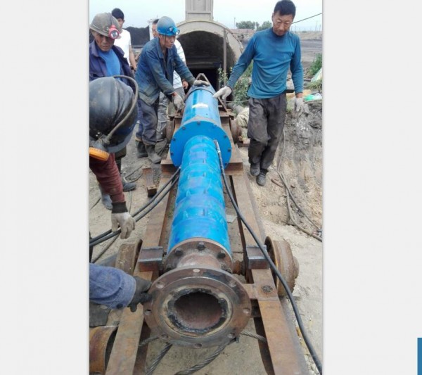 臥式潛水泵_帶滾輪