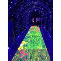 室外地面互動投影 沉浸式體感文旅景區(qū)光影系統(tǒng)設(shè)備 全國安裝