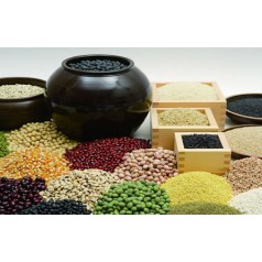 內蒙五谷雜糧系列技術培訓