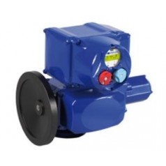 BERNARD CONTROLS 工業 執行器SQ系列