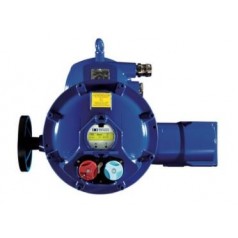 BERNARD CONTROLS 防爆型角行程執行器SQX系列