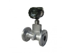 旋進(jìn)旋渦流量計