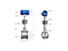 蒸汽流量計