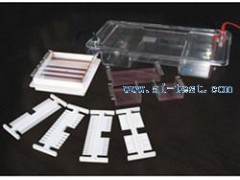 電泳槽/中國 水平電泳槽 A131188