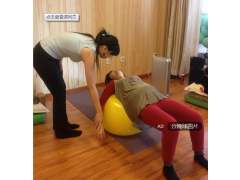 導(dǎo)樂球生產(chǎn)廠家  兩種型號(hào)   任你選擇