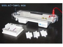 電泳槽報價/中國 水平電泳槽報價 A131726