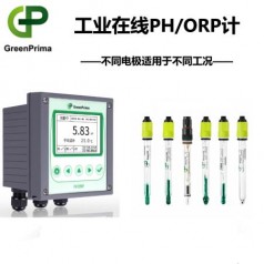 PM8200P發(fā)電廠水質(zhì)PH在線檢測(cè)儀英國GREENPRIMA