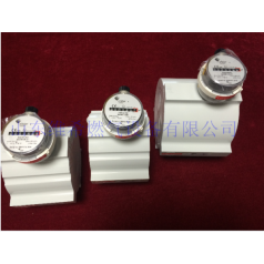elster埃爾斯特QA燃?xì)獗須怏w渦輪流量計天然氣表Quantometer進(jìn)口