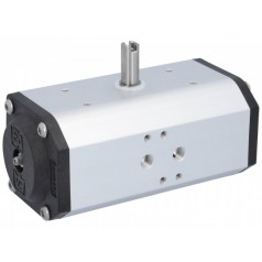 EA END ARMATUREN 部分回轉執行器-DW55系列