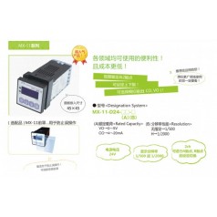 Technical & Try 顯示儀MX-11-D24-VO-H   MX-11-D24-CO-H
