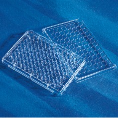 3596 Costar CellBIND 96孔細胞培養板