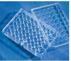 Corning CellBIND Costar 48孔細胞培養板3548