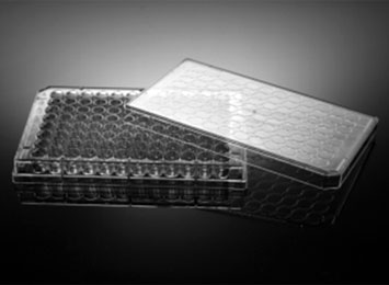 NEST® 96孔細胞培養板，透明，平底，PS，TC，EB滅菌 701001