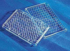 康寧/Corning 96孔細胞培養板3599 TC表面，無菌無熱源