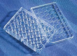 康寧/Corning48孔細胞培養板3548 TC表面，無菌無熱源