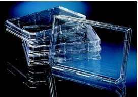 NUNC/方形培養盤-165218