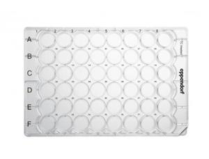 細胞培養板，48 孔,0030723015