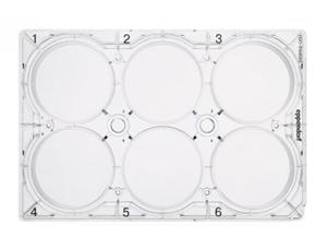 細胞培養板，6 孔，0030720130
