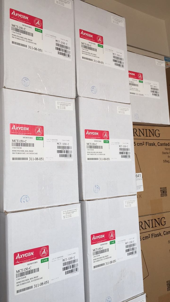 Corning 低容量條板 8孔 半區 黑色 中吸附 2482