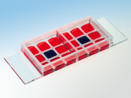 ibidi，易必迪細胞共培養Co-Cultivation μ-Slide 2 x 9 well