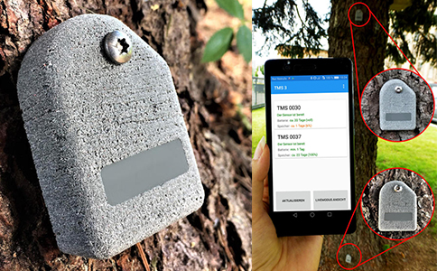 TMS 3樹木穩定安全性測試儀