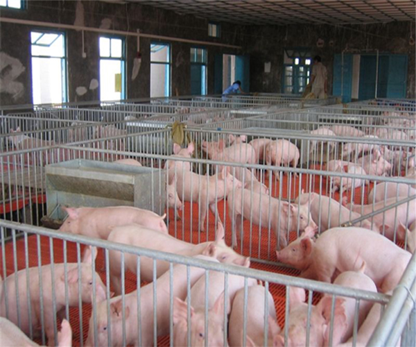 養(yǎng)殖場電地暖-碳纖維電熱地暖