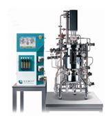 實(shí)驗(yàn)室不銹鋼生物反應(yīng)器