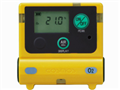 新宇宙XS-2200型硫化氫檢測儀