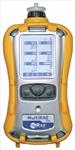 美國華瑞PGM-6208復合氣體檢測儀