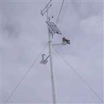 voc實(shí)時(shí)檢測(cè)儀