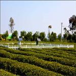 自動氣象站設(shè)備六要素氣象局自動氣象站觀測系統(tǒng)