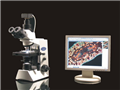 迅數MIC3/MIC2顯微圖像分析系統