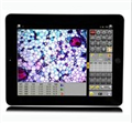 上海締倫ScopePad-500智能數碼顯微成像儀