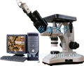 雙目倒置金相顯微鏡-上海蔡康光學儀器廠專業生產