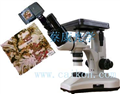 雙目倒置金相顯微-上海蔡康光學儀器廠專業生產