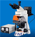 無窮遠(yuǎn)三目正置熒光顯微鏡TFM-400