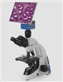 WMS-1033數碼生物顯微鏡