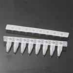 無DNA酶8聯(lián)排PCR管平蓋 0.1 0.2透明乳白色@新聞熱點(diǎn)